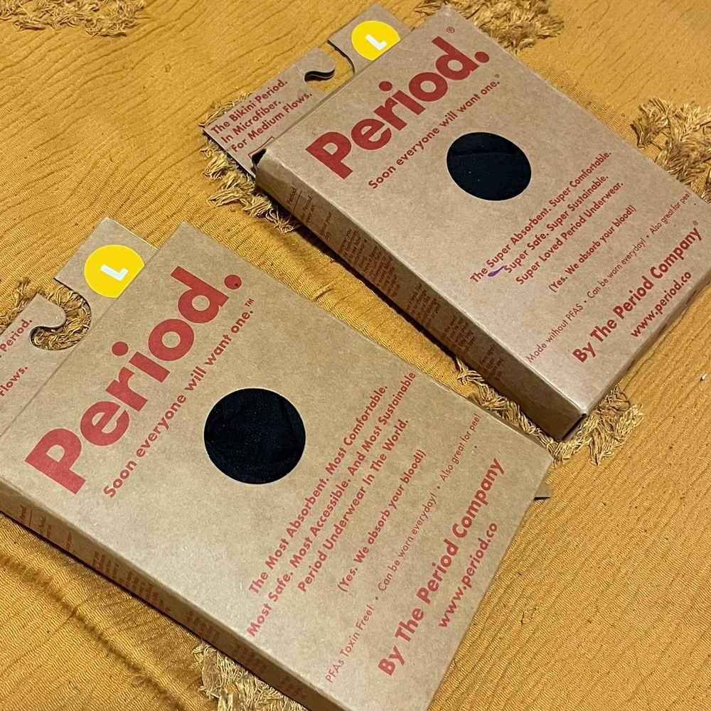 The Period Company Period Underwear (New in box, size L)